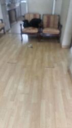 Blk 6 Telok Blangah Crescent (Bukit Merah), HDB 3 Rooms #504708381